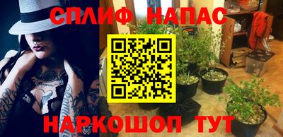 мдпв Беслан