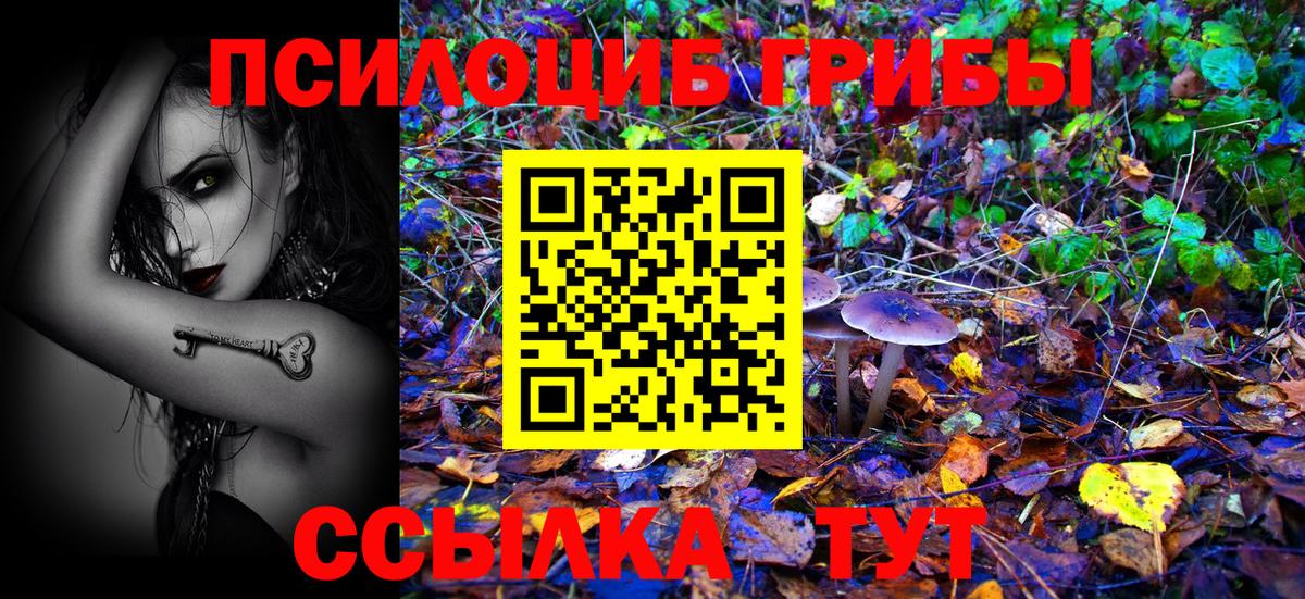 Псилоцибиновые грибы мицелий Кизилюрт